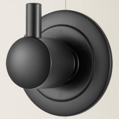 Click here to see Brizo T60875-BL Brizo Jason Wu 3 Function Diverter Trim, Matte Black  - T60875-BL 