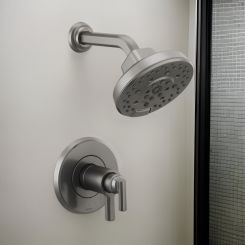 Click here to see DELTA FAUCETS COMPANY T60298-SL Brizo Levoir TempAssure Thermostatic Multi-Function Shower Only Trim, H2Okinetic, 1.75 GPM, Brilliance Luxe Steel - T60298-SL