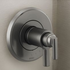 Click here to see  T60098-SL Brizo Levoir TempAssure Thermostatic Valve Trim with Two Lever Handles, Brilliance Luxe Steel - T60098-SL
