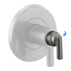 Click here to see  RP100426SL Brizo Levoir Temperature Control Handle Assembly, Brilliance Luxe Steel - RP100426SL