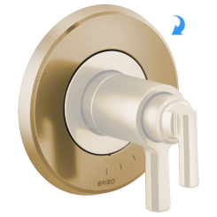 Click here to see DELTA FAUCETS COMPANY RP100424GL Brizo Levoir Escutcheon, Brilliance Luxe Gold - RP100424GL