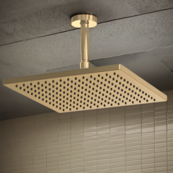 Click here to see  81399-GL-2.5 Brizo Essential 12