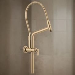 Click here to see  81376-GL Brizo Essential 10-7/16