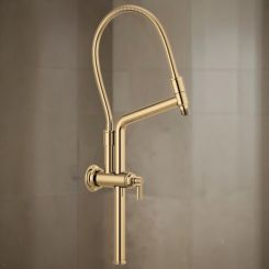Click here to see  81376-PG Brizo Essential 10-7/16