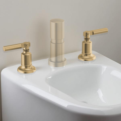 Click here to see Brizo RP101056GL Brizo Invari Bidet Faucet Lever Handle Kit, Brilliance Luxe Gold - RP101056GL