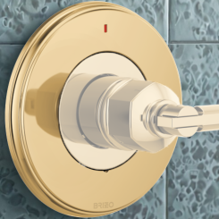 Click here to see Brizo RP101152PG Brizo Invari 6