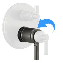 Click here to see Brizo RP101148SL Brizo Invari Volume Control Lever Handle Kit, Brilliance Luxe Steel - RP101148SL