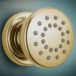 Click here to see Brizo 84110-BB Brizo 84110-BB Brilliance Brass Touch-Clean Body Spray With Valve