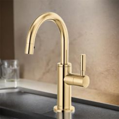 Click here to see  61320LF-C-PG Brizo Single-Handle Cold Water Beverage Faucet with Arc Spout, DIAMOND Seal, ADA, 1.5 GPM, Brilliance Polished Gold - 61320LF-C-PG