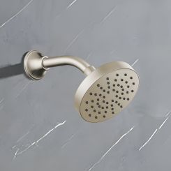Click here to see Brizo 82392-BN-2.5 Brizo Essential 5