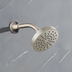 Click here to see  82392-NK-2.5 Brizo Essential 5