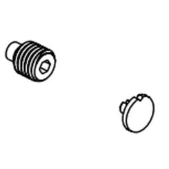 Click here to see Brizo RP101588NK Brizo Kintsu Screw and Cap for Thermostatic Valve Trim, Brilliance Luxe Nickel - RP101588NK