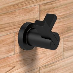 Click here to see  693535-BL Brizo Litze Double Robe Hook, Matte Black - 693535-BL
