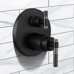 Click here to see Brizo HL75P33-BLSL Brizo Litze Pressure Balance Valve Trim Handle Kit - T-Lever, Matte Black/Brilliance Luxe Steel - HL75P33-BLSL