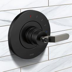 Click here to see Brizo HL60P34-BLSL Brizo Litze Pressure Balance Valve Trim Handle Kit, Industrial Lever, Matte Black/Luxe Steel - HL60P34-BLSL
