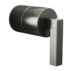 Click here to see  HL60P22-SL Brizo Luxe Steel Pressure Balance Valve Lever Handle Kit, Frank Lloyd Wright - HL60P22-SL
