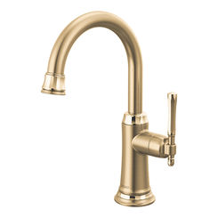 Click here to see  61358LF-C-GLPG Brizo Tulham One Handle Beverage Faucet, Luxe Gold/Polished Gold - 61358LF-C-GLPG
