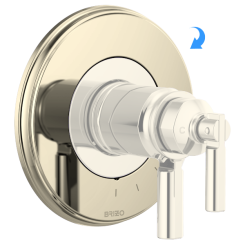 Click here to see Brizo RP101151PN Brizo Invari 6