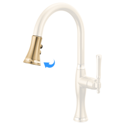 Click here to see Brizo RP101784GLPG Brizo Tulham Pull-Down Faucet Hose and Sprayer Assembly, Two-Function, Brilliance Luxe Gold / Brilliance Polished Gold - RP101784GLPG