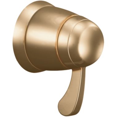 Click here to see Moen TL3600AZ Moen TL3600AZ Volume Control Trim Antique Bronze