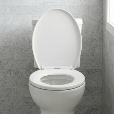 Click here to see Toto SS113#11 Toto SoftClose Round Toilet Seat, Colonial White - SS113#11 