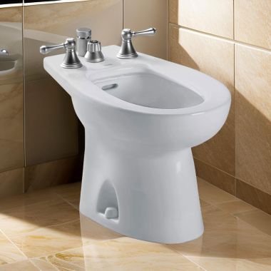 Click here to see Toto BT500B#11 TOTO Piedmont Vertical Spray Bidet, Colonial White - BT500B#11 