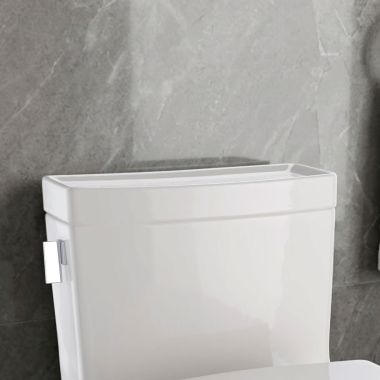 Click here to see Toto TCU624CRE#12 TOTO TCU624CRE#12 TANK LID FOR MS624/MS626 SEDONA BEIGE