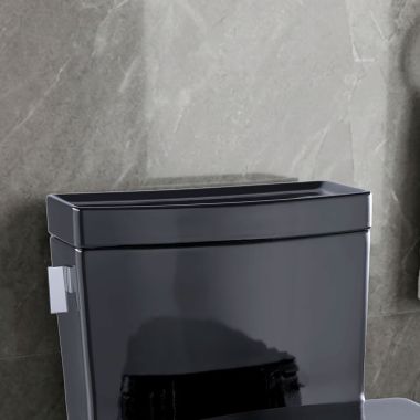 Click here to see Toto TCU624CRE#51 TOTO TCU624CRE#51 TANK LID FOR MS624/MS626 EBONY