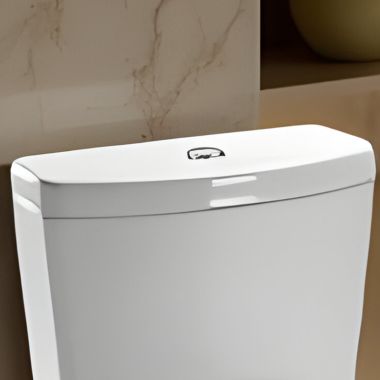 Click here to see Toto TCU654CR#12 TOTO Aquia One-Piece Toilet Tank Lid, Sedona Beige - TCU654CR#12