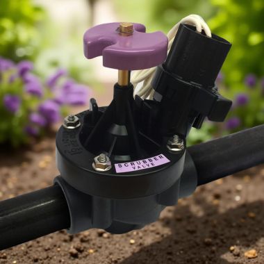 Click here to see Rainbird 100PESBR Rain Bird 1