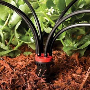 Click here to see Rain Bird MANIF21PK Rain Bird 6-Outlet Emitter with 1/2
