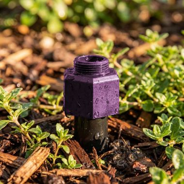 Click here to see Rainbird PA8SNP Rain Bird Plastic Shrub Adapter, Non-Potable - PA8SNP (A16505)