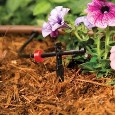 Click here to see Rain Bird SW20/10PK Rain Bird Spot Watering Emitters, 2.0 GPH, 10-Pack - SW20-10PK (A50710B)