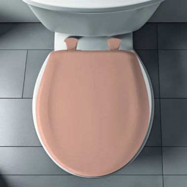 Click here to see Bemis 200SLOWT-243 Bemis Classic Colors EasyClean Round Toilet Seat with Cover, WhisperClose, StayTite Fastening, Plastic, Wild Rose - 200SLOWT-243