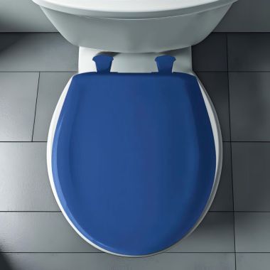 Click here to see Bemis 200SLOWT-364 Bemis Classic Colors EasyClean Round Toilet Seat with Cover, WhisperClose, StayTite Fastening, Plastic, Colonial Blue - 200SLOWT-364