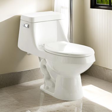 Click here to see American Standard 2862.056.020 American Standard Fairfield One-Piece Elongated Bowl Toilet, 1.6 GPF, Glazed Trapway, White - 2862.056.020