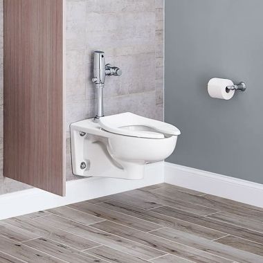 Click here to see American Standard 5901100SS.020 American Standard Commercial Open Front Elongated Toilet Seat with Self-Sustaining Hinge, Heavy Duty, White - 5901.100SS.020 