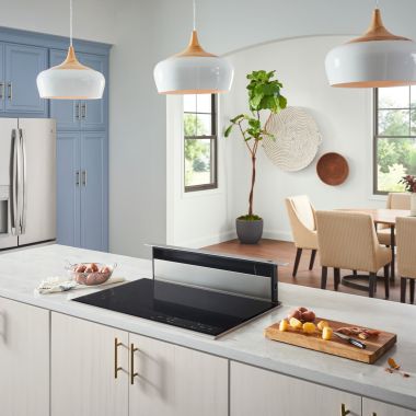 Click here to see Broan 283003 Broan-NuTone 27000/28000 Eclipse Series 30-Inch Telescopic Downdraft System, Stainless Steel - 283003