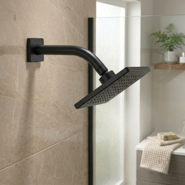 Click here to see BRIZO RP74448BL Brizo Essential 7