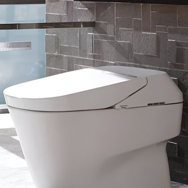 Click here to see Toto SN992M#01 TOTO Neorest 700H Top Unit w/ Built-In Purifying System, Heated Seat, Cotton White - SN992M#01