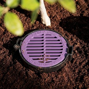 Click here to see Rainbird RWSGRATEP Rain Bird Root Watering System 4