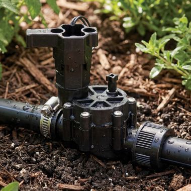 Click here to see Rainbird 100DVMB Rain Bird 1