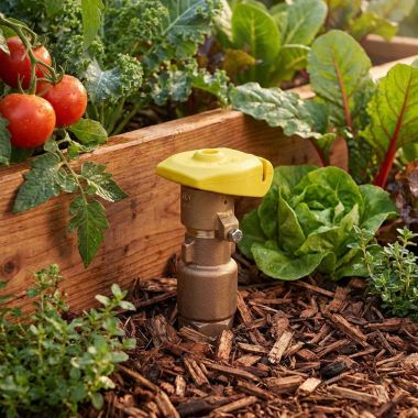 Click here to see Rainbird 33DLRC Rain Bird 3/4