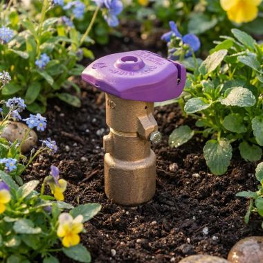 Click here to see Rainbird 33DNP Rain Bird 3/4