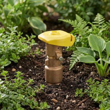 Click here to see Rainbird 44LRC Rain Bird 1