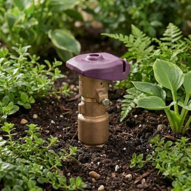 Click here to see Rainbird 44NP Rain Bird 1