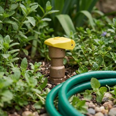 Click here to see Rainbird 5LRC Rain Bird 1