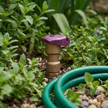 Click here to see Rainbird 5NP Rain Bird 1