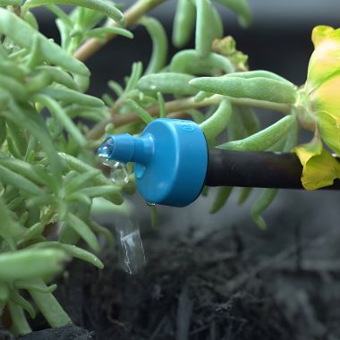 Click here to see Rainbird XB05PCBULK Rain Bird Xeri-Bug Emitter, Barb Inlet, 0.5 GPH, Blue - XB05PCBULK (X68030)