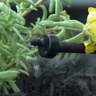 Click here to see Rainbird XB10PCBULK Rain Bird Xeri-Bug Emitter, Barb Inlet, 1.0 GPH, Black - XB10PC (X68040)